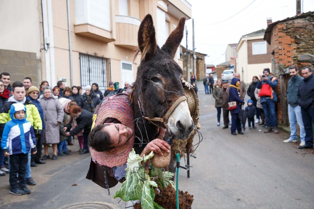 Los Carochos de Riofrío de Aliste