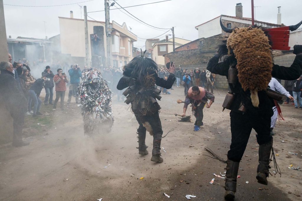 Los Carochos de Riofrío de Aliste