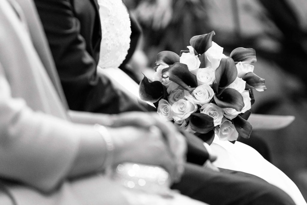 Boda en Zamora de Merce y Dacio