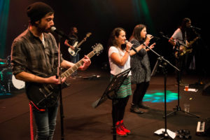 Grupos zamoranos