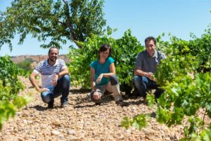 Equipo Viñas y Más