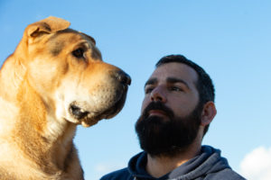 Fotografía de mascotas